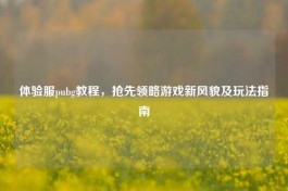 体验服pubg教程，抢先领略游戏新风貌及玩法指南