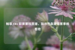 畅享 CBA 联赛赛程直播，探寻热血***赛事观看地