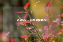 逆战风云，尽显豪情壮志