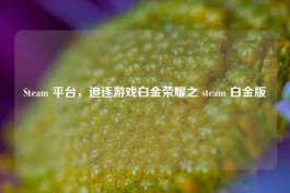 Steam 平台，追逐游戏白金荣耀之 steam 白金版