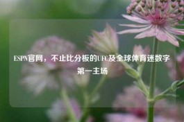 ESPN官网，不止比分板的UFC及全球体育迷数字之一主场