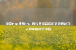 探索PUBG战绩API，游戏数据背后的无限可能及人物拿枪显示问题