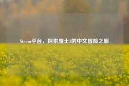 Steam平台，探索废土3的中文冒险之旅