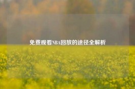 免费观看NBA回放的途径全解析