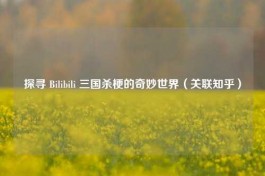 探寻 Bilibili 三国杀梗的奇妙世界（关联知乎）