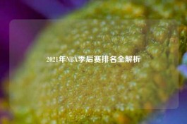 2021年NBA季后赛排名全解析