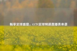 畅享足球盛宴，CCTV足球频道直播表来袭