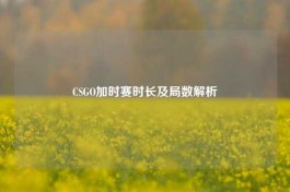 CSGO加时赛时长及局数解析