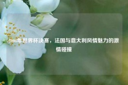 2006年世界杯决赛，法国与意大利风情魅力的***碰撞