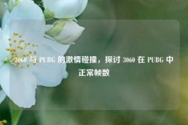 3060 与 PUBG 的     碰撞，探讨 3060 在 PUBG 中正常帧数