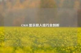 CSGO 显示敌人技巧全剖析