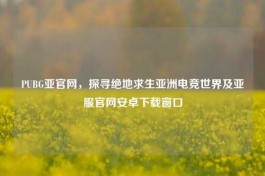 PUBG亚官网，探寻绝地求生亚洲电竞世界及亚服官网安卓下载窗口