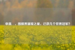 申真谞，围棋界璀璨之星，已获几个世界冠军？