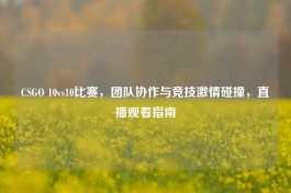 CSGO 10vs10比赛，团队协作与竞技 *** 碰撞，直播观看指南
