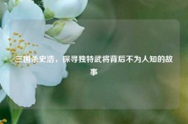 三国杀史浩，探寻独特武将背后不为人知的故事