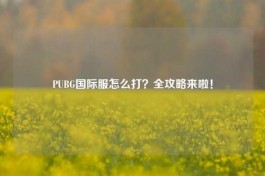 PUBG国际服怎么打？全攻略来啦！