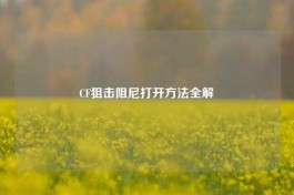 CF狙击阻尼打开方法全解