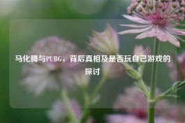 马化腾与PUBG，背后真相及是否玩自己游戏的探讨