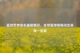 篮球世界排名最新情况，全球篮球格局动态呈现一览表