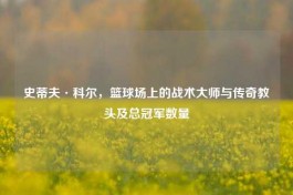 史蒂夫·科尔，篮球场上的战术大师与传奇教头及总冠军数量