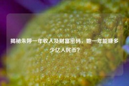 揭秘朱婷一年收入及财富密码，她一年能赚多少亿人民币？