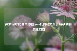 探索足球比赛录像回放cc及网站大全，解锁精彩足球瞬间