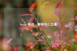 Steam 畅游，解锁中二之魂