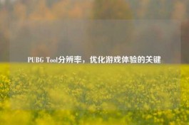 PUBG Tool分辨率，优化游戏体验的关键
