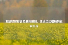 亚冠联赛排名及最新规则，亚洲足坛格局的直观呈现