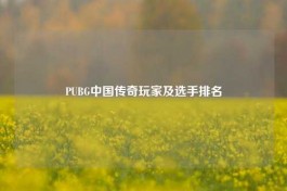 PUBG中国传奇玩家及选手排名