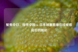 聚焦中日，探寻中国 vs 日本球赛直播在线观看背后的精彩