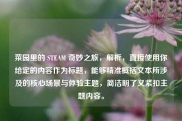 菜园里的 STEAM 奇妙之旅，解析，直接使用你给定的内容作为标题，能够精准概括文本所涉及的核心场景与体验主题，简洁明了又紧扣主题内容。