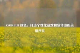 CSGO HUD 颜色，打造个性化游戏视觉体验的关键所在
