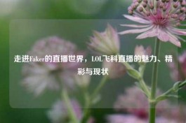 走进Faker的直播世界，LOL飞科直播的魅力、精彩与现状