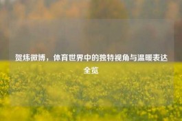 贺炜微博，体育世界中的独特视角与温暖表达全览