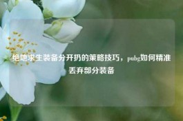 绝地求生装备分开扔的策略技巧，pubg如何精准丢弃部分装备