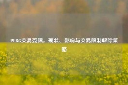 PUBG交易受限，现状、影响与交易限制解除策略
