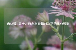 森林狼vs勇士，悬念与     对决下的比分预测
