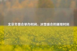 北京冬奥会举办时间，冰雪盛会的璀璨时刻