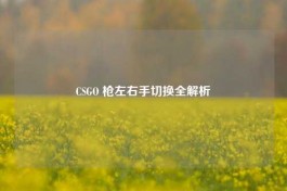 CSGO 枪左右手切换全解析