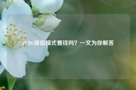 PUBG排位模式要钱吗？一文为你解答