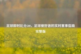 足球即时比分500，足球爱好者的实时赛事指南完整版