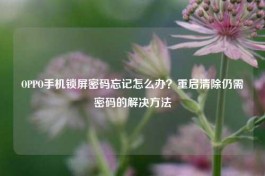 OPPO手机锁屏密码忘记怎么办？重启清除仍需密码的解决     