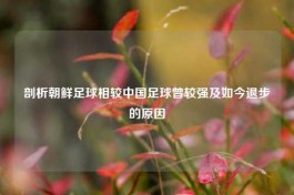 剖析朝鲜足球相较中国足球曾较强及如今退步的原因