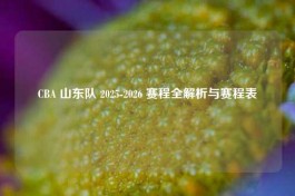 CBA 山东队 2025-2026 赛程全解析与赛程表