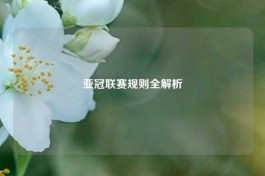 亚冠联赛规则全解析