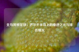 北马其顿足球，巴尔干半岛上的奋进之光与排名情况