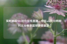 实时追踪NBA比分在线直播，尽在nba比分网即时比分畅享篮球     盛宴