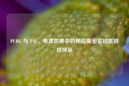 PUBG 与 PAL，电竞世界中的帕拉莫密室钥匙别样风采