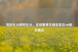 竞彩比分即时比分，足球赛事关键信息及500相关情况